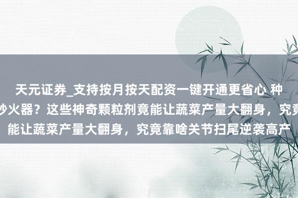 天元证券_支持按月按天配资一键开通更省心 种地东谈主藏着啥好意思妙火器？这些神奇颗粒剂竟能让蔬菜产量大翻身，究竟靠啥关节扫尾逆袭高产