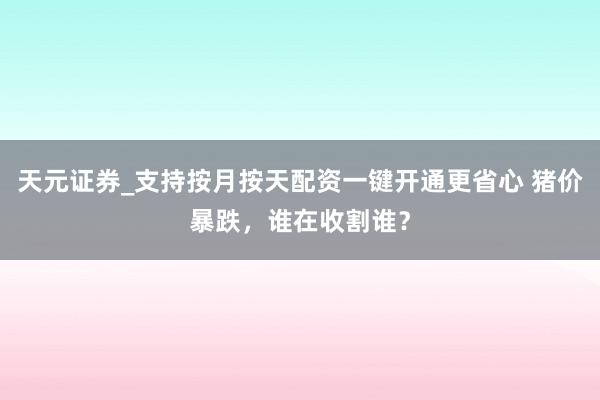 天元证券_支持按月按天配资一键开通更省心 猪价暴跌，谁在收割谁？