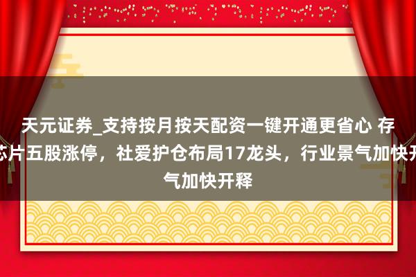天元证券_支持按月按天配资一键开通更省心 存储芯片五股涨停，社爱护仓布局17龙头，行业景气加快开释